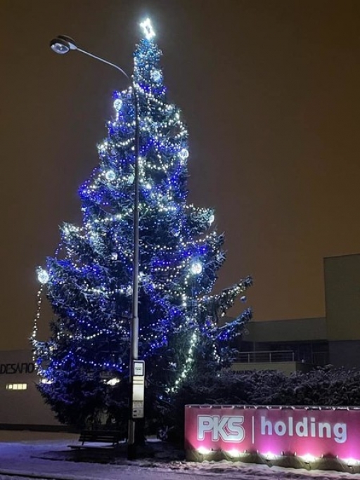 Vánoční strom PKS se po roce opět rozzářil