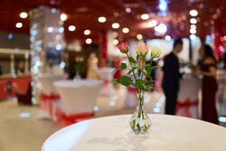 28022026 PKS_ples_na_site_2